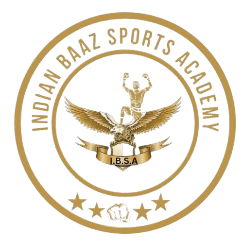 teamibsa.com